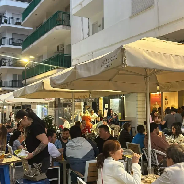 image_compressor_27f618969c17d2108aed8a7e4fce0bea_666c2c546b992